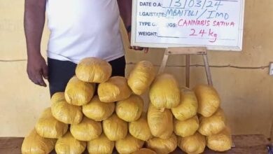 NDLEA busts drug distribution rings across states 5 IMG 20240317 WA0119