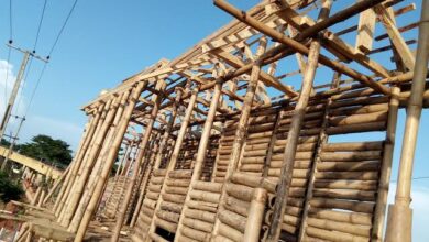 Many engineers now use bamboo due to high cost Of iron rods - Builders 9 IMG 20240318 WA0239
