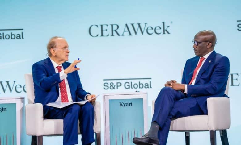 Kyari canvasses differentiated energy transition for Africa 1 IMG 20240319 WA0329