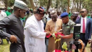Kwara seeks collaboration to end deforestation 6 Kwara deputy governor