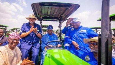 Tinubu in Niger