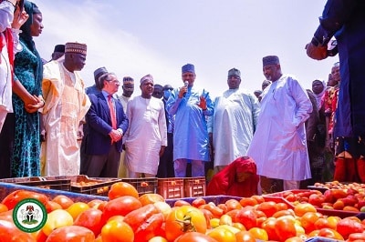 Largest tomato processing factory in West Africa commissioned in Kebbi 1 Tomato processing