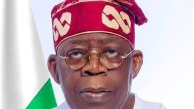 Nigeria's story is not one of doom and gloom but of hope and potential , by Ade Omole 8 WhatsApp Image 2024 03 16 at 10.10.08 d1f40207