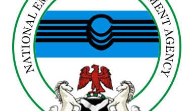 Looted Abuja warehouse not ours - NEMA 8 images 4