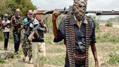 Midnight horror in Katsina: Mother, child abducted, survive eight days of captivity 1 Armed bandits