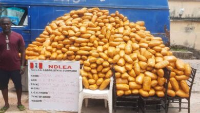 NDLEA nabs drug traffickers, seizes 80 wraps of cocaine ingested 3 IMG 20240407 WA0145