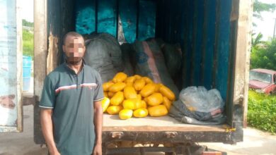 Police arrest man with 1,040 tons of Indian hemp in Lagos 6 IMG 20240419 WA0224