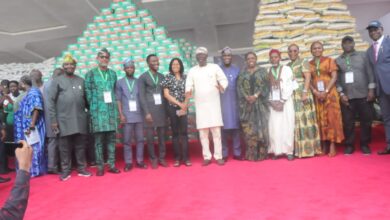 LASG distributes "Ounje Eko" to 500,000 households 11 IMG 20240424 WA0215