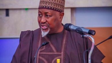 Proliferation of small, light weapons responsible for oil theft in Niger Delta - Badaru 7 Minister Defence