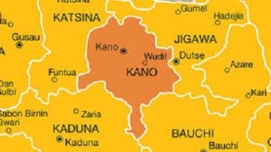 Kano film censorship board bans crossdressing, thuggery in films 4 ok