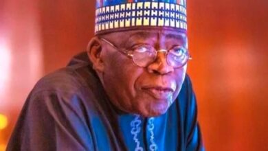 Tinubu’s steady progress in power sector, by Bello Aminu 1 20240428 093625