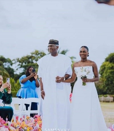 Fashola's daughter, Yewande, marries Ogunlesi in Lagos 11 6 1