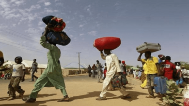 ISWAP issues quit notice to Borno communities 4 IDPs