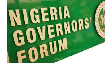 Governors’ unholy war against democracy, by Osita Okechukwu 2 IMG 20240503 WA0240