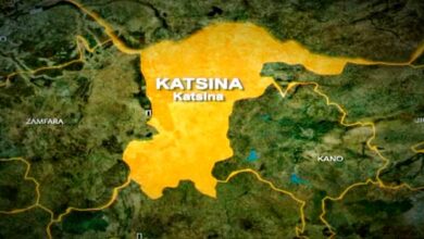 Bandits attack Katsina community, kill 24 persons 1 Katsina map