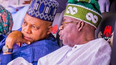 Shettima and the gains of Renewed Hope Agenda, by Stanley Nkwocha 6 WhatsApp Image 2024 05 31 at 6.44.52 AM