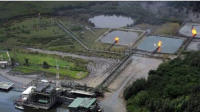 NUPRC summons investors to bid for 12 oil blocks, seven offshore assets 17 block