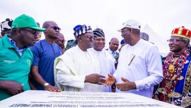 Benue flood project