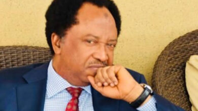 Not only President Tinubu; anyone can miss his step - Shehu Sani 4 IMG 20240601 WA0146