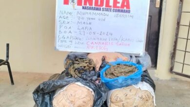 NDLEA intercepts N2.1Bn worth of codeine, loud at Lagos, Port Harcourt ports 8 IMG 20240602 WA0153