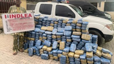 NDLEA raids snake-guarded shrine in Edo, seizes illicit drugs 11 IMG 20240623 WA0109