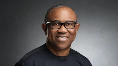 Peter Obi: How the political nomad dug own grave — by Izuchukwu Adichie 6 IMG 20240624 WA0189