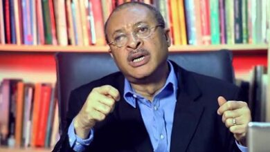 Utomi calls for reforms in Nigeria's minimum wage negotiation 9 Prof Pat Utomi