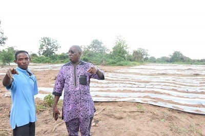 FUNAAB plants two hectares of tomatoes to address shortages, rising price 1 WhatsApp Image 2024 06 24 at 5.36.34 PM 1
