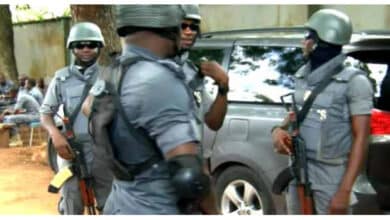 NCS seizes pangolin scales worth N3.9bn in kebbi 1 customs