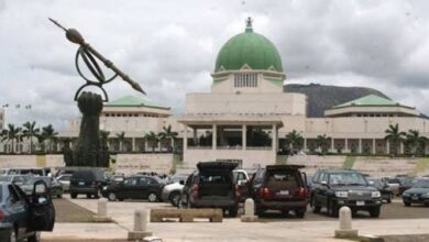 2025 budget: National Assembly passes N54.9trn into law 1 images 2 1