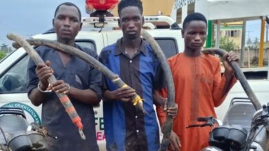 Ogun: Three arrested for buying stolen electricity cables 6 20240701 150306