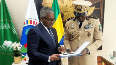 Gabon's President invites Dangote to invest in cement, fertiliser production 3 Aliko Dangote and Brice Oligui Nguema 667x400 1