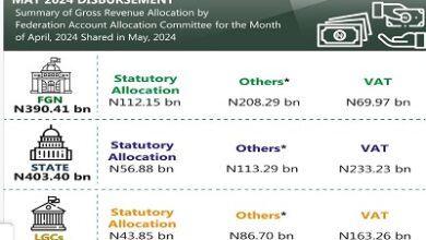 FAAC: Lagos Other South West States shared N81.4bn in May 2024 10 FAAC