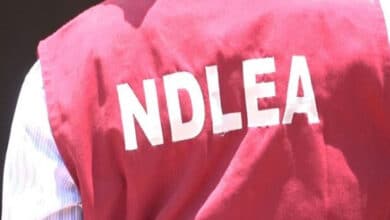 NDLEA uncovers illicit substances concealed in incense candles, game packs, ladies' wears 5 NDLEA pix