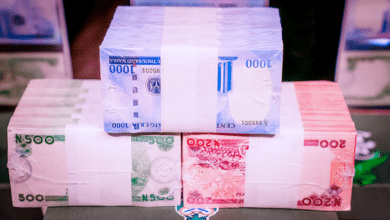 SERAP asks CBN to account for missing N100bn dirty notes 6 New Naira 1
