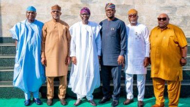 Food Security: Southwest governors to finalize strategies on clearing cluster farmlands 11 Southwest governors 510x340 1