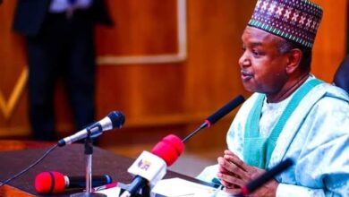 Bagudu: Tinubu’s reforms fueling economic recovery, investor confidence 13 WhatsApp Image 2024 07 10 at 8.46.50 PM