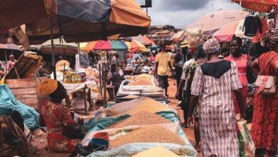 Tinubu reaffirms commitment to food security, announces suspension of tariff on imported grains 8 WhatsApp Image 2024 07 13 at 7.22.32 PM