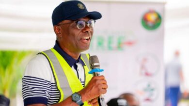 PHOTO NEWS: Sanwo-Olu, Hamzat, Wahab plant trees in Lagos to protect environment 17 WhatsApp Image 2024 07 14 at 4.27.40 PM 2