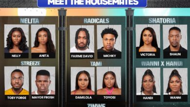 Big Brother Naija season 9 launches with 28 housemates, dynamic duos 4 WhatsApp Image 2024 07 29 at 1.40.05 PM 2