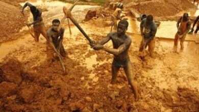 Nigeria loses $9bn yearly to illegal mining, Rep panel reveals 6 llegal