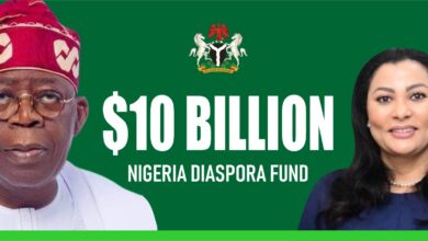 NDVC commends $10bn Nigeria Diaspora Fund initiative 12 IMG 20240827 WA0003