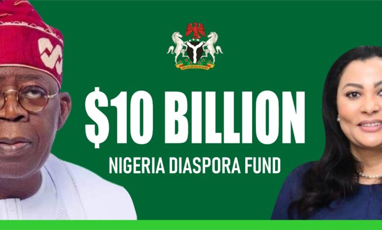 NDVC commends $10bn Nigeria Diaspora Fund initiative 1 IMG 20240827 WA0003