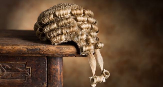 Judge Wig