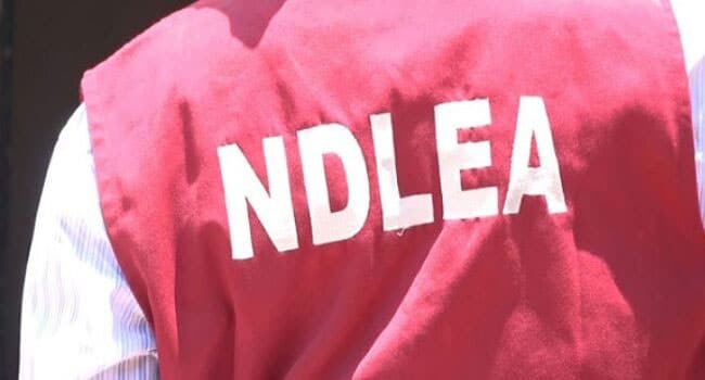 NDLEA pix 1