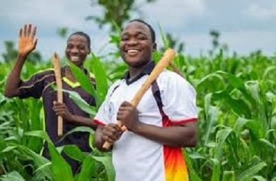 Agricultural productivity: NIRSAL empowers over 2,000 farmers in Oyo, 3 other states 1 NIRSAL Plc