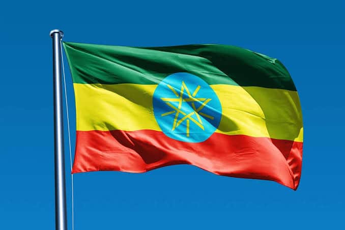 Ethiopia bans importation of petrol, diesel vehicles for diplomatic missions 1 WhatsApp Image 2024 08 20 at 12.43.15 PM