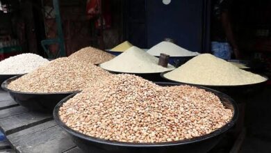 Ghana bans Rice, Corn exports to stave off food shortage 4 WhatsApp Image 2024 08 27 at 4.34.45 PM 2