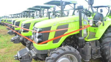Gov Adeleke commits N10bn to farm inputs, unveils 31 tractors 4 WhatsApp Image 2024 08 30 at 6.16.37 PM