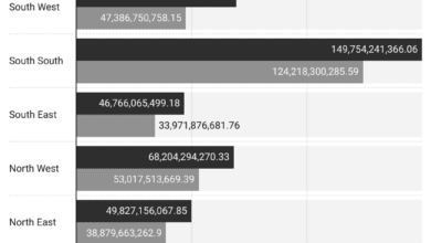 FAAC: 36 States allocation grew by 29.23% YoY to N432.96bn in June 2024 7 cEWJd faac allocation by region n